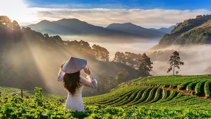 Sự Bùng Nổ Của Video Ngắn và Trí Tuệ Nhân Tạo: Vai Trò Thiết Yếu Của Đào Tạo Kỹ Năng Sáng Tạo Nội Dung_Phần mềm biên tập video chuyên nghiệp