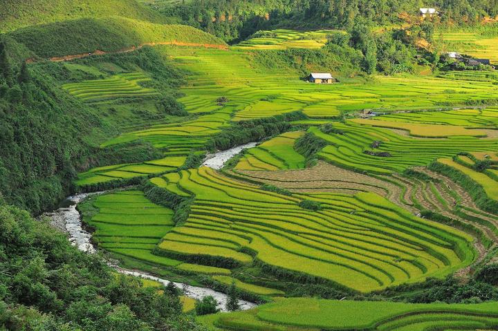 Cách Khởi Nghiệp Kiếm Tiền Bán Thời Gian Dành Cho Người Mới_kỹ năng sáng tạo nội dung