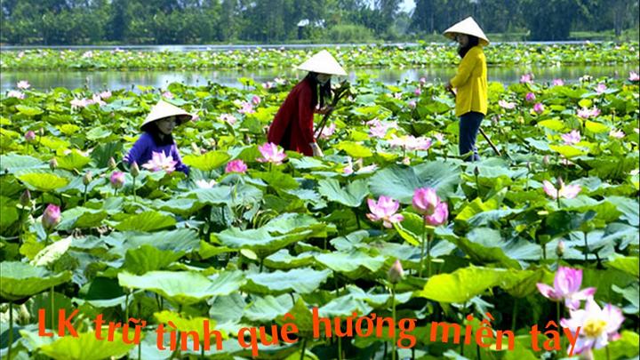 Hotspot Matrix: Biến Hé lộ hậu trường siêu nhạc thành cơ hội marketing đột phá_Làm video ngắn trên điện thoại