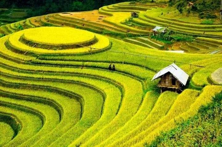 Hotspot Matrix: Biến 3 kiểu giày